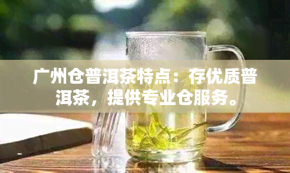 广州仓普洱茶特点：存优质普洱茶，提供专业仓服务。