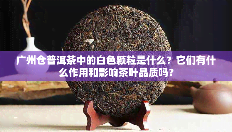 广州仓普洱茶中的白色颗粒是什么？它们有什么作用和影响茶叶品质吗？