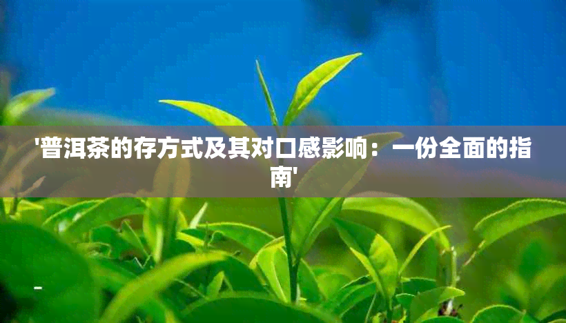 '普洱茶的存方式及其对口感影响：一份全面的指南'