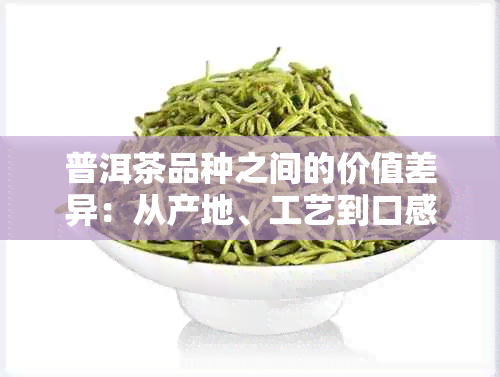 普洱茶品种之间的价值差异：从产地、工艺到口感的深度解析