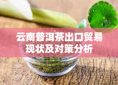 云南普洱茶出口贸易现状及对策分析