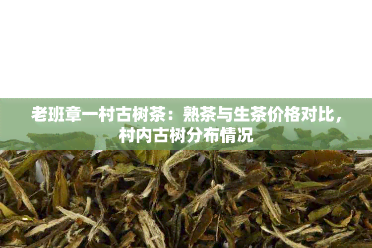 老班章一村古树茶：熟茶与生茶价格对比，村内古树分布情况