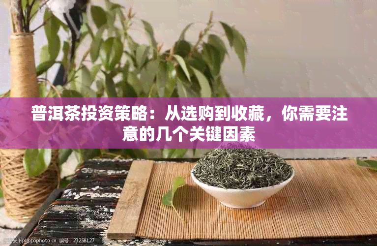 普洱茶投资策略：从选购到收藏，你需要注意的几个关键因素