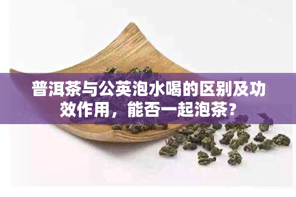 普洱茶与公英泡水喝的区别及功效作用，能否一起泡茶？