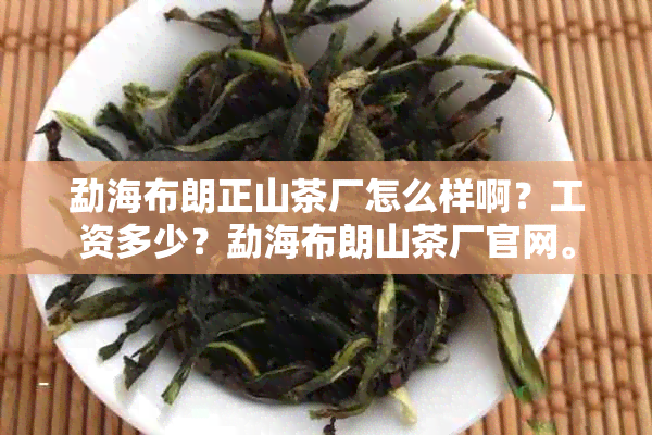 勐海布朗正山茶厂怎么样啊？工资多少？勐海布朗山茶厂官网。