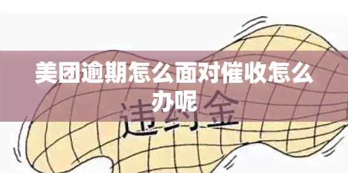 美团逾期怎么面对怎么办呢