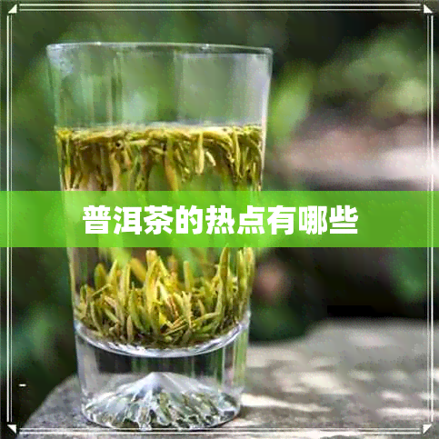 普洱茶的热点有哪些