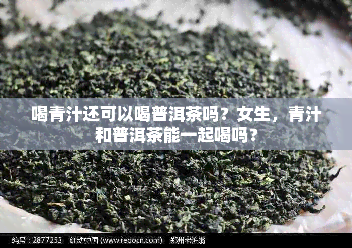 喝青汁还可以喝普洱茶吗？女生，青汁和普洱茶能一起喝吗？