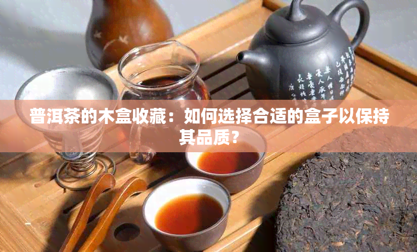 普洱茶的木盒收藏：如何选择合适的盒子以保持其品质？