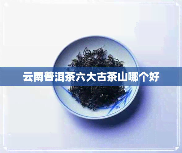 云南普洱茶六大古茶山哪个好