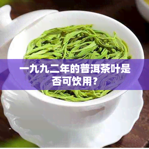 一九九二年的普洱茶叶是否可饮用？