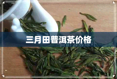 三月田普洱茶价格