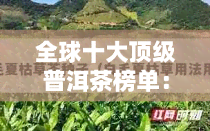 全球十大顶级普洱茶榜单：一场关于品味、历与文化的宴