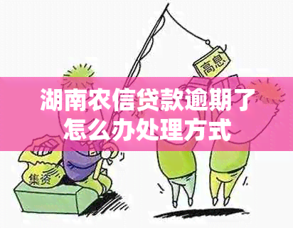 湖南农信贷款逾期了怎么办处理方式