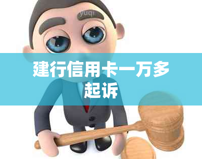 建行信用卡一万多起诉