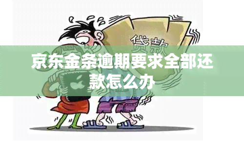 京东金条逾期要求全部还款怎么办