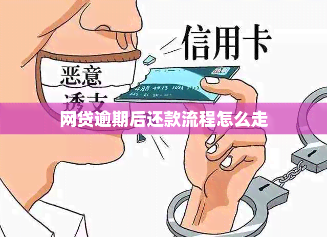 网贷逾期后还款流程怎么走