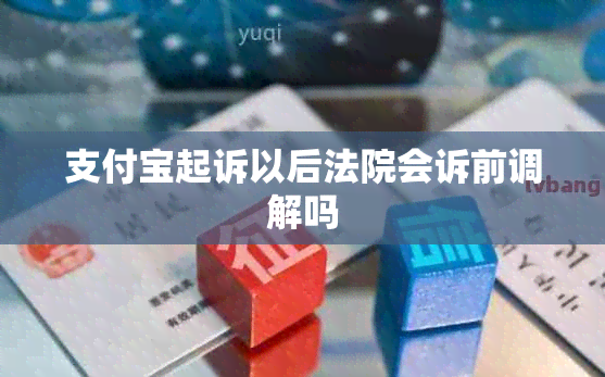 支付宝起诉以后法院会诉前调解吗