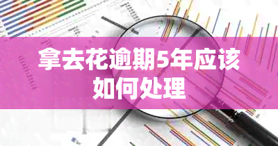 拿去花逾期5年应该如何处理