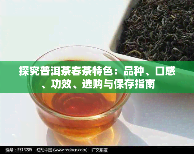 探究普洱茶春茶特色：品种、口感、功效、选购与保存指南