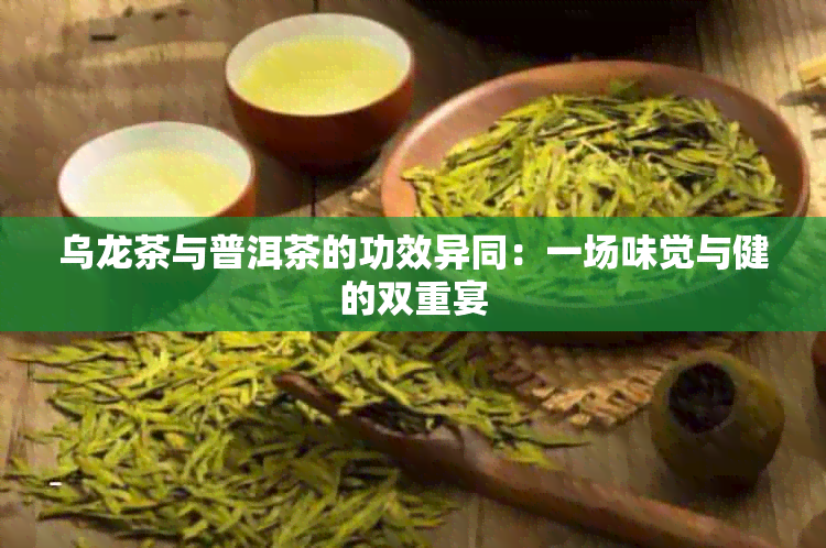 乌龙茶与普洱茶的功效异同：一场味觉与健的双重宴