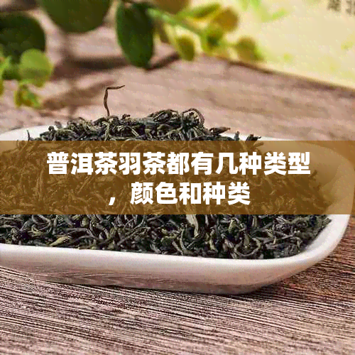 普洱茶羽茶都有几种类型，颜色和种类