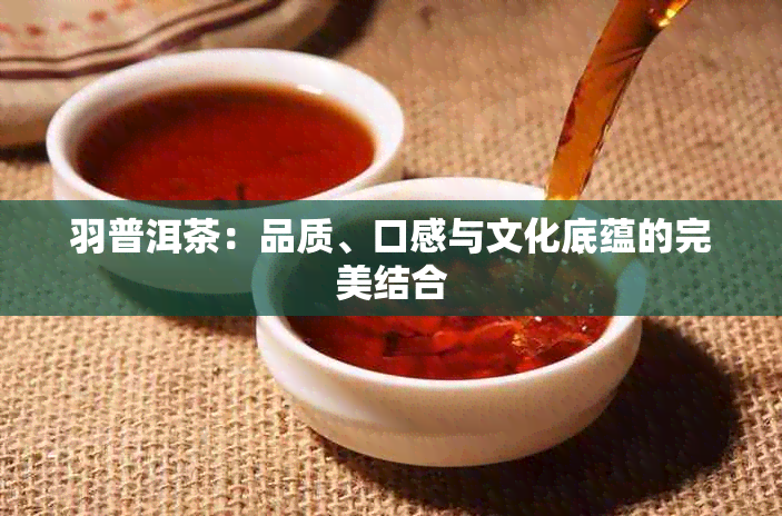 羽普洱茶：品质、口感与文化底蕴的完美结合