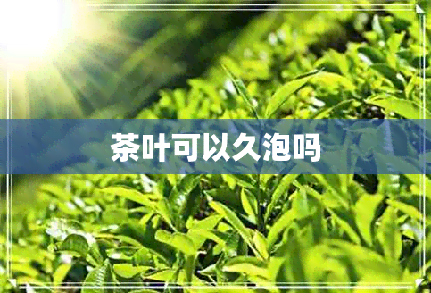 茶叶可以久泡吗