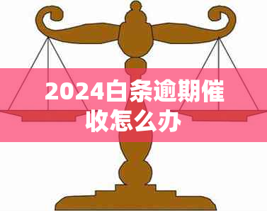 2024白条逾期怎么办