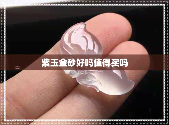 紫玉金砂好吗值得买吗