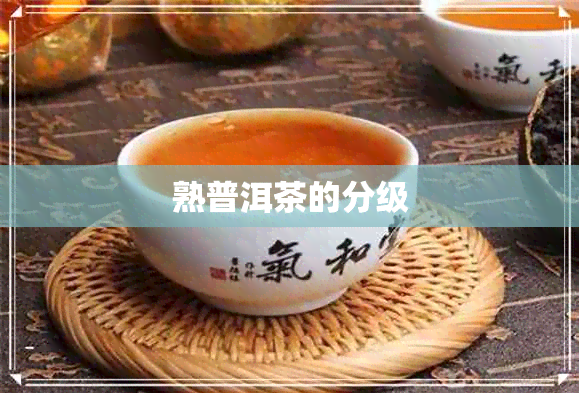 熟普洱茶的分级