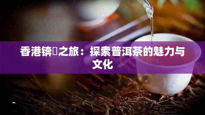 锛孿之旅：探索普洱茶的魅力与文化