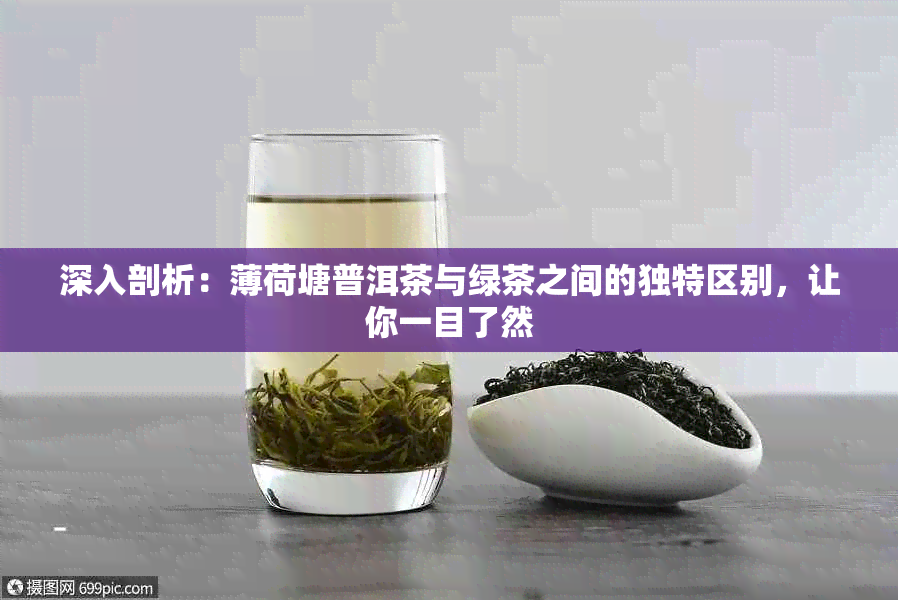 深入剖析：薄荷塘普洱茶与绿茶之间的独特区别，让你一目了然