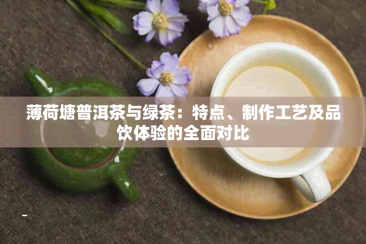 薄荷塘普洱茶与绿茶：特点、制作工艺及品饮体验的全面对比