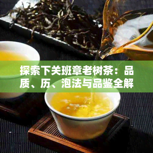 探索下关班章老树茶：品质、历、泡法与品鉴全解析