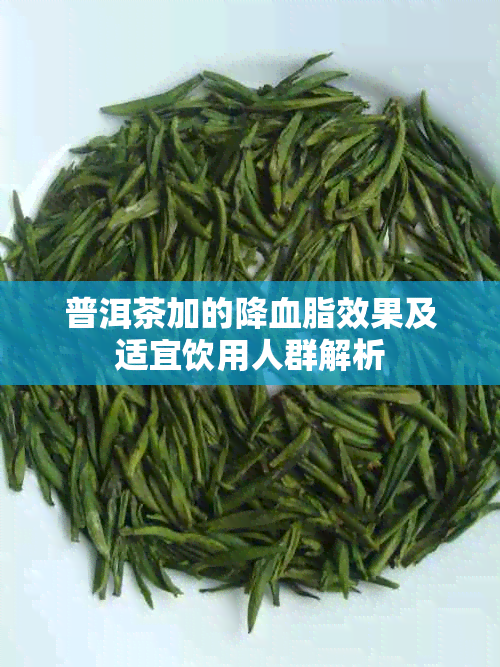 普洱茶加的降血脂效果及适宜饮用人群解析