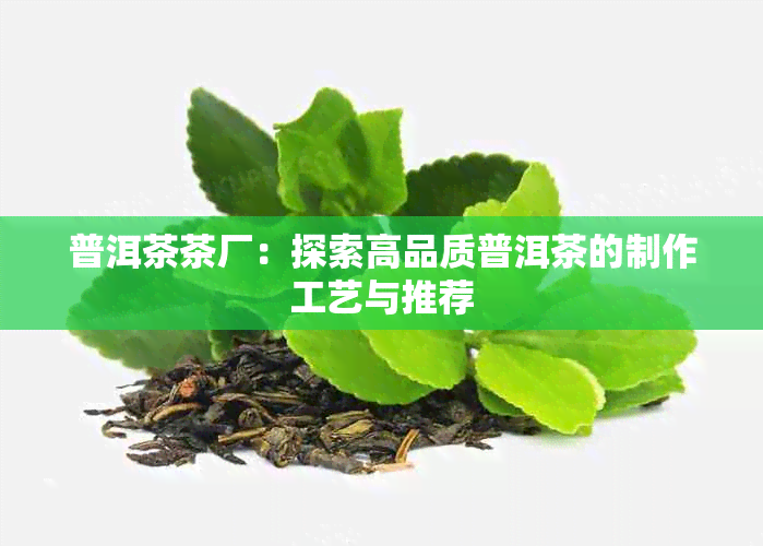 普洱茶茶厂：探索高品质普洱茶的制作工艺与推荐