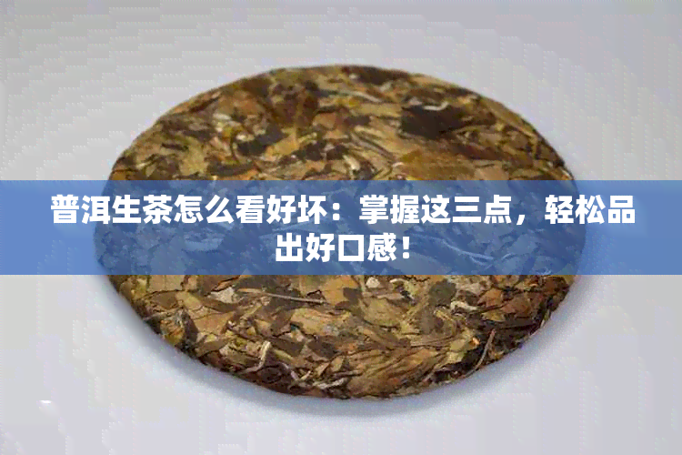 普洱生茶怎么看好坏：掌握这三点，轻松品出好口感！