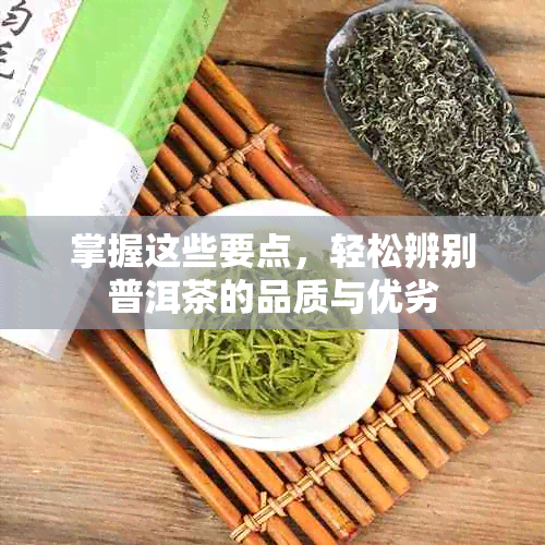 掌握这些要点，轻松辨别普洱茶的品质与优劣