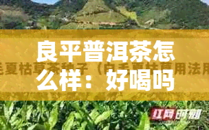 良平普洱茶怎么样：好喝吗？340克价格，价格表，礼盒熟茶的价格