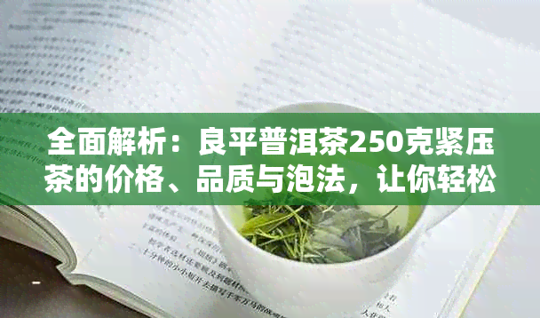 全面解析：良平普洱茶250克紧压茶的价格、品质与泡法，让你轻松选购与品鉴