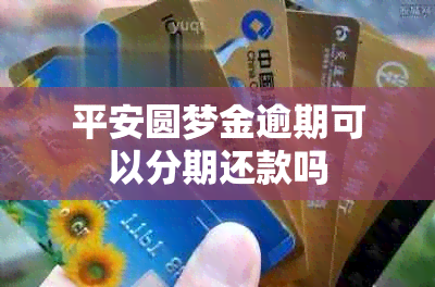 平安圆梦金逾期可以分期还款吗