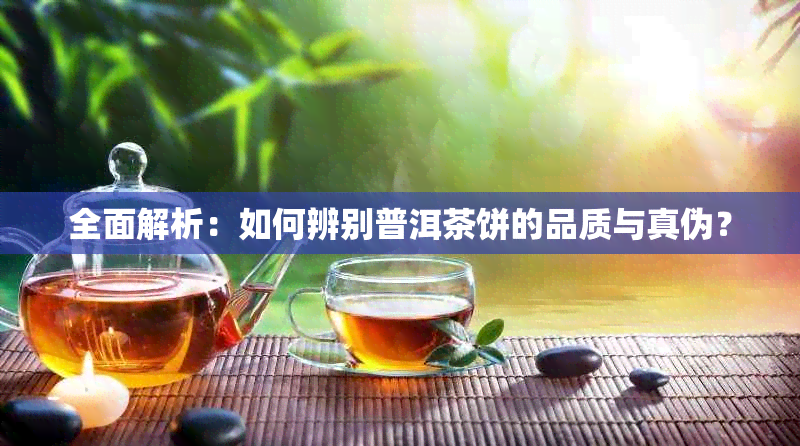 全面解析：如何辨别普洱茶饼的品质与真伪？