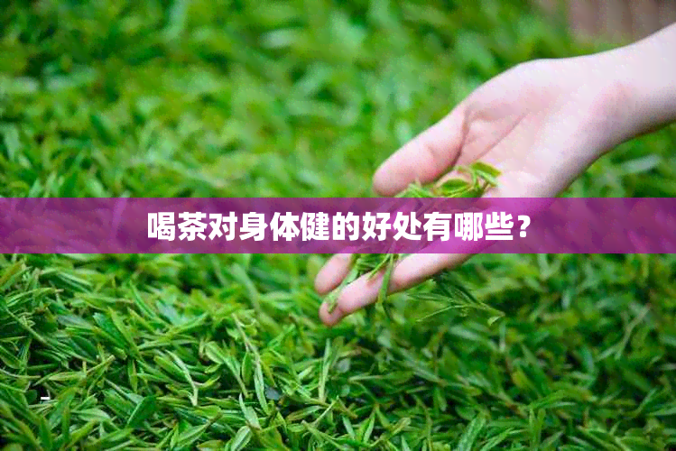 喝茶对身体健的好处有哪些？