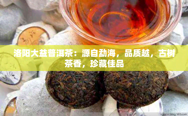 洛阳大益普洱茶：源自勐海，品质越，古树茶香，珍藏佳品