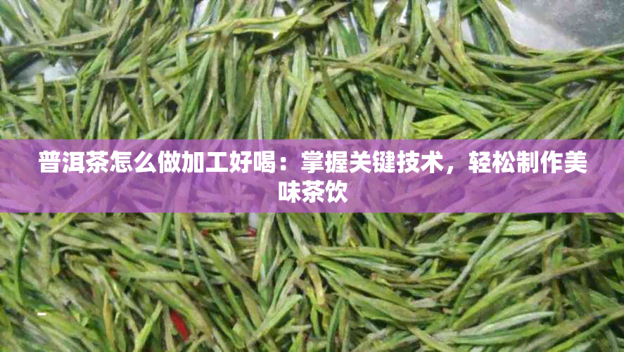 普洱茶怎么做加工好喝：掌握关键技术，轻松制作美味茶饮