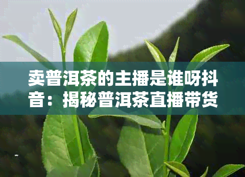 卖普洱茶的主播是谁呀抖音：揭秘普洱茶直播带货平台