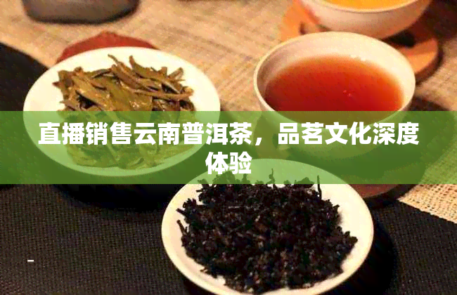 直播销售云南普洱茶，品茗文化深度体验