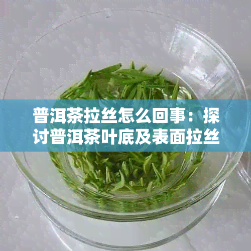 普洱茶拉丝怎么回事：探讨普洱茶叶底及表面拉丝现象的原因与影响