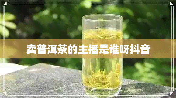 卖普洱茶的主播是谁呀抖音